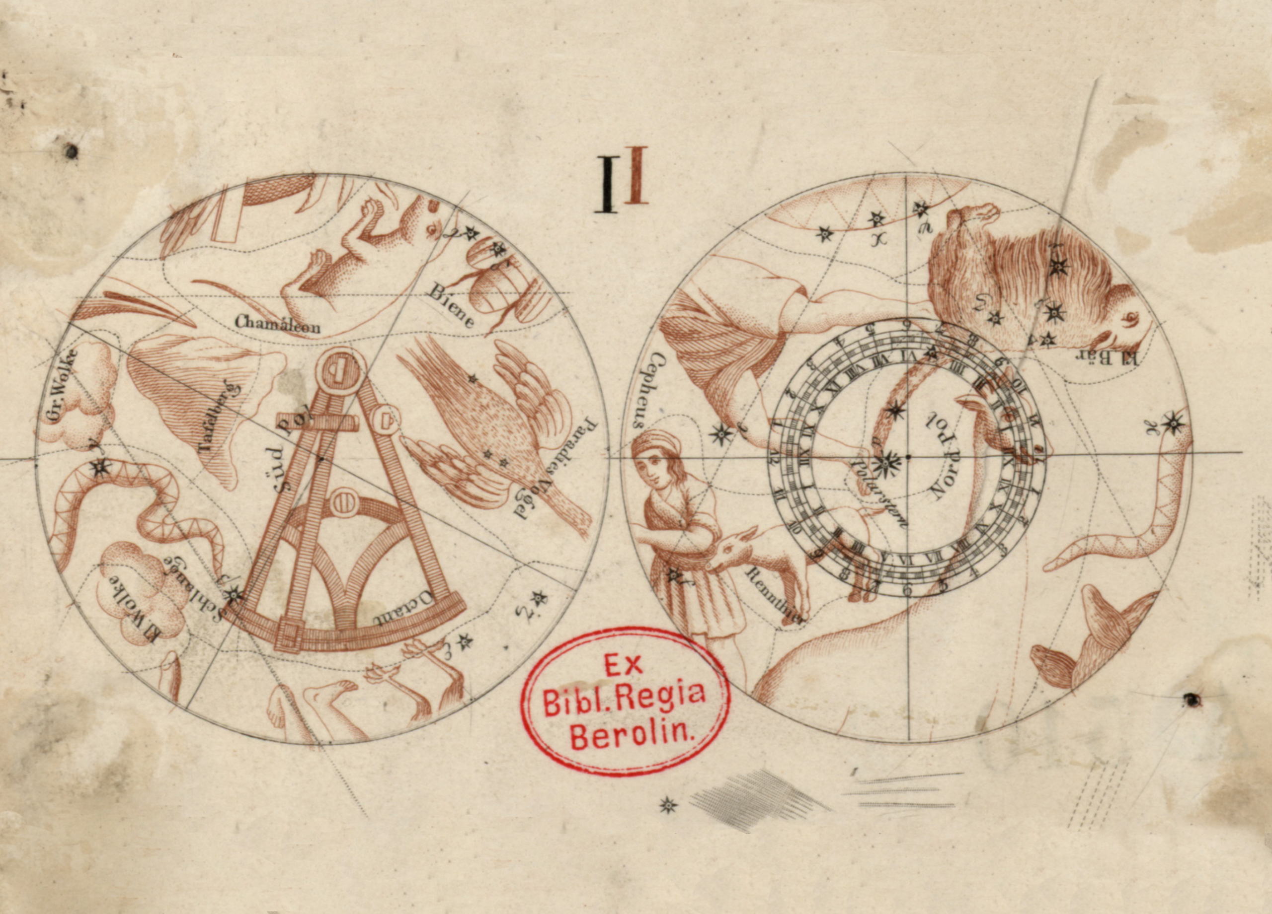 Segmentsatz für den Himmelsglobus des Schropp-Verlags mit 19 cm Durchmesser von Christian Gottlieb Riedig. SBB-PK. Public Domain Mark 1.0